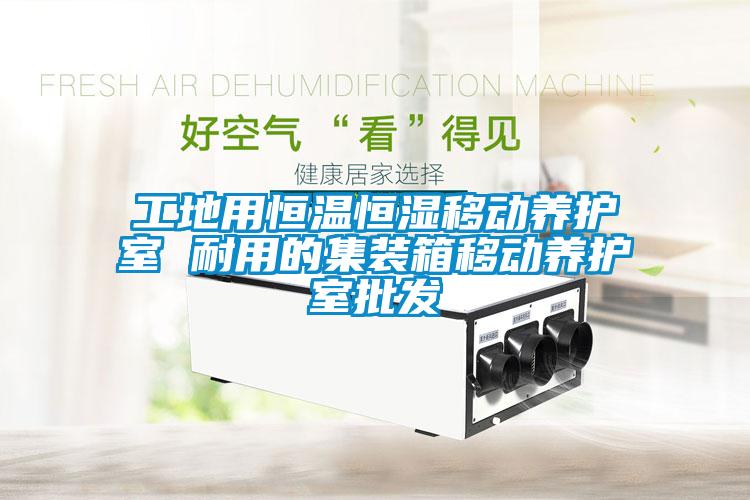 工地用恒温恒湿移动养护室 耐用的集装箱移动养护室批发