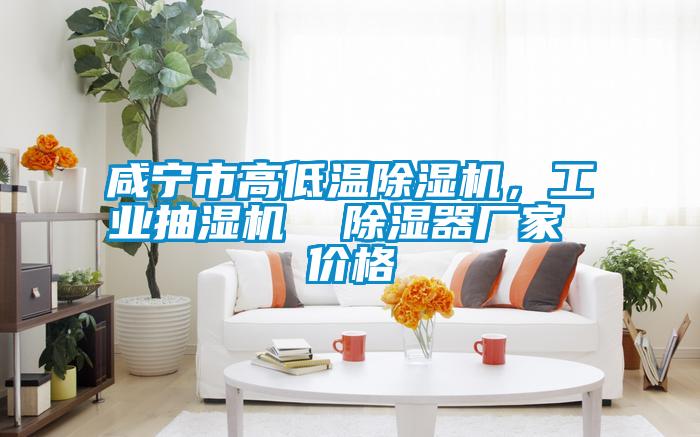 咸宁市高低温除湿机，工业抽湿机  除湿器厂家 价格