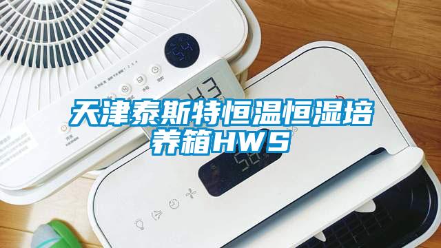 天津泰斯特恒温恒湿培养箱HWS