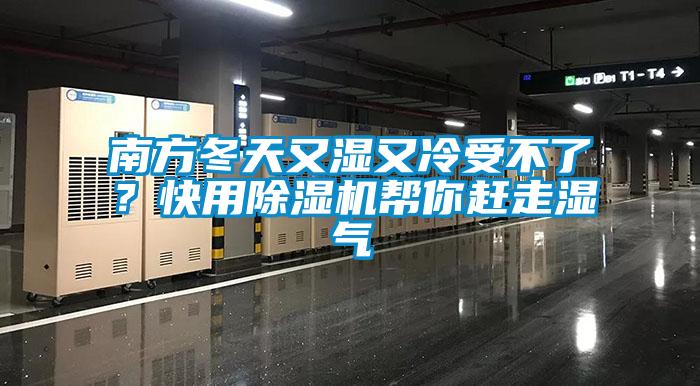南方冬天又湿又冷受不了？快用除湿机帮你赶走湿气