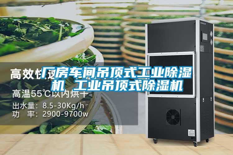 厂房车间吊顶式工业除湿机 工业吊顶式除湿机