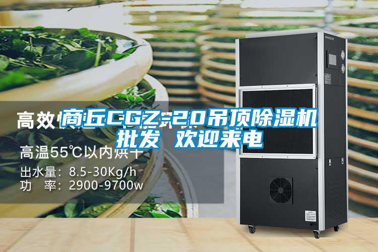 商丘CGZ-20吊顶除湿机批发 欢迎来电