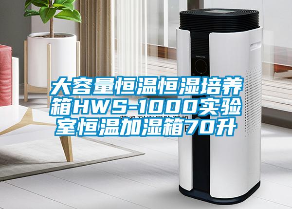 大容量恒温恒湿培养箱HWS-1000实验室恒温加湿箱70升