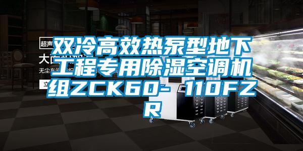 双冷高效热泵型地下工程专用除湿空调机组ZCK60- 110FZR