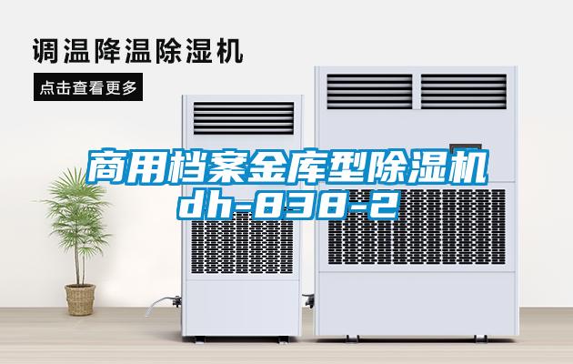 商用档案金库型除湿机dh-838-2