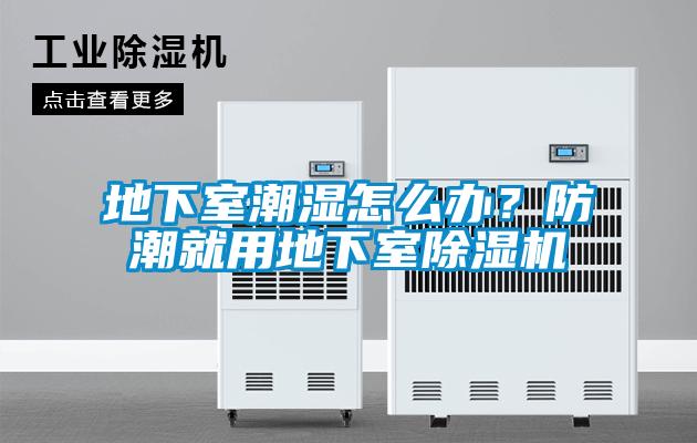 地下室潮湿怎么办？防潮就用地下室除湿机