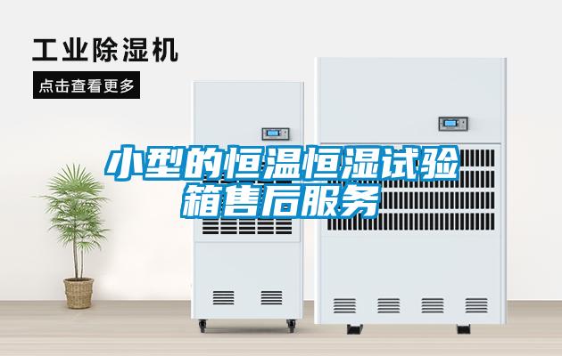 小型的恒温恒湿试验箱售后服务