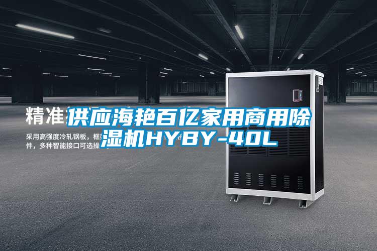 供应海艳百亿家用商用除湿机HYBY-40L