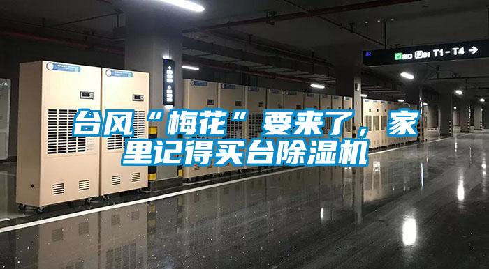 台风“梅花”要来了，家里记得买台除湿机