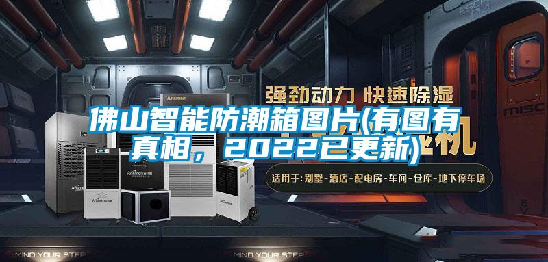 佛山智能防潮箱图片(有图有真相，2022已更新)