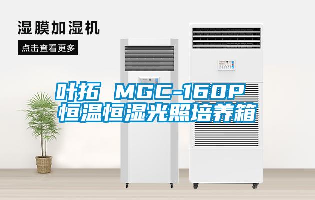 叶拓 MGC-160P 恒温恒湿光照培养箱