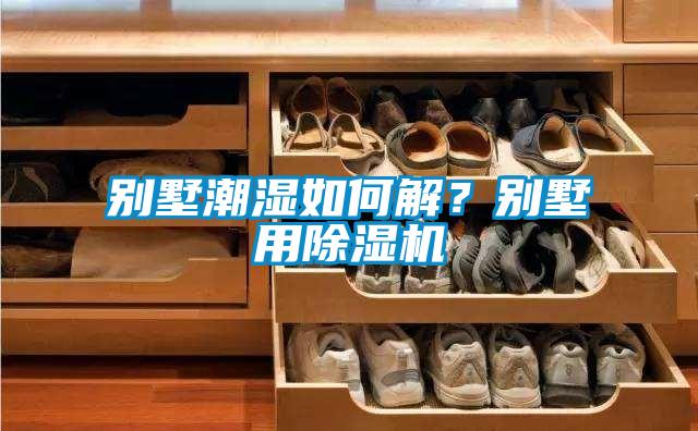 别墅潮湿如何解？别墅用除湿机