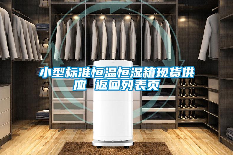 小型标准恒温恒湿箱现货供应 返回列表页