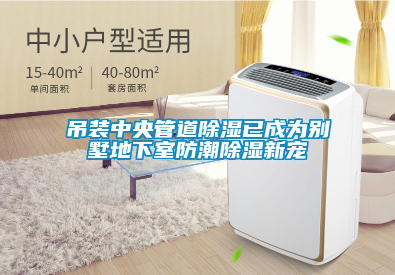 吊装中央管道除湿已成为别墅地下室防潮除湿新宠