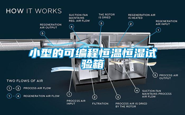 小型的可编程恒温恒湿试验箱