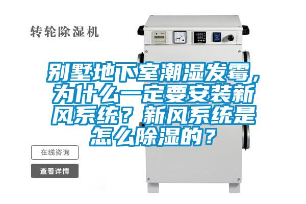 别墅地下室潮湿发霉，为什么一定要安装新风系统？新风系统是怎么除湿的？