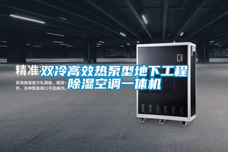 双冷高效热泵型地下工程除湿空调一体机