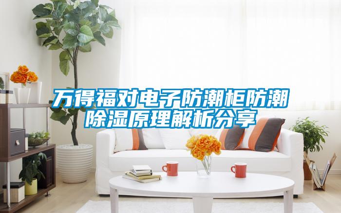 万得福对电子防潮柜防潮除湿原理解析分享