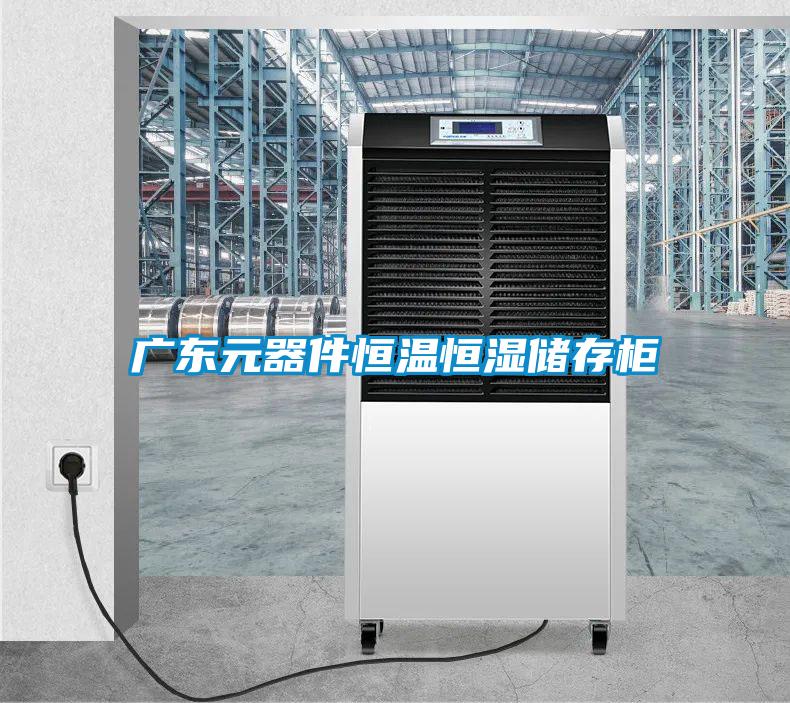 广东元器件恒温恒湿储存柜