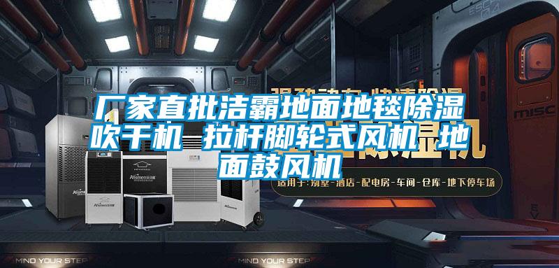 厂家直批洁霸地面地毯除湿吹干机 拉杆脚轮式风机 地面鼓风机