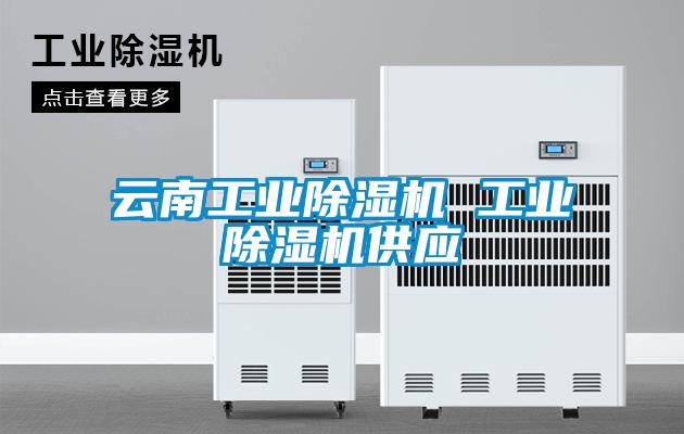 云南工业除湿机 工业除湿机供应