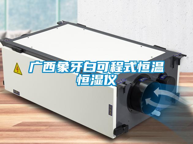 广西象牙白可程式恒温恒湿仪