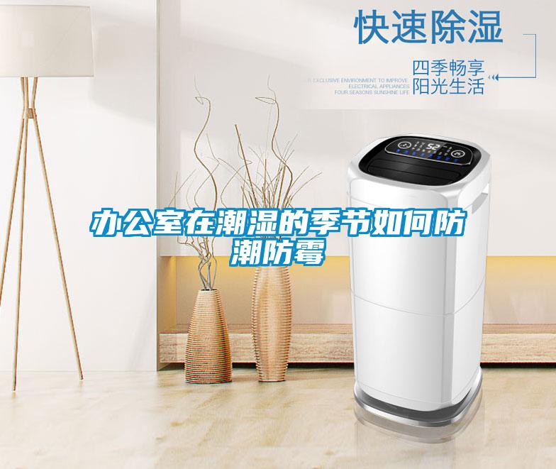 办公室在潮湿的季节如何防潮防霉