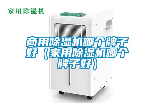 商用除湿机哪个牌子好（家用除湿机哪个牌子好）