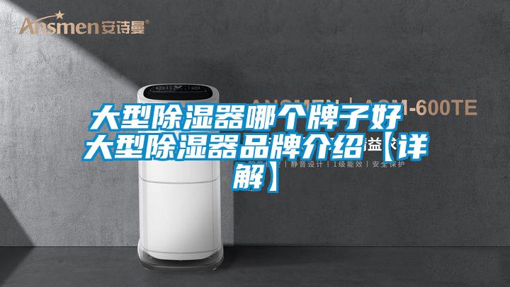 大型除湿器哪个牌子好 大型除湿器品牌介绍【详解】