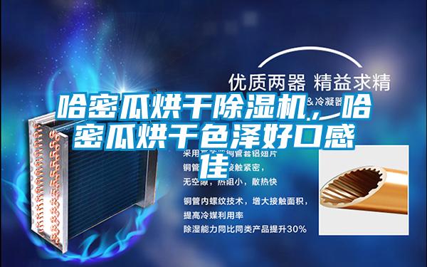 哈密瓜烘干除湿机，哈密瓜烘干色泽好口感佳