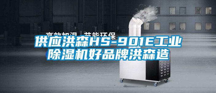 供应洪森HS-901E工业除湿机好品牌洪森造