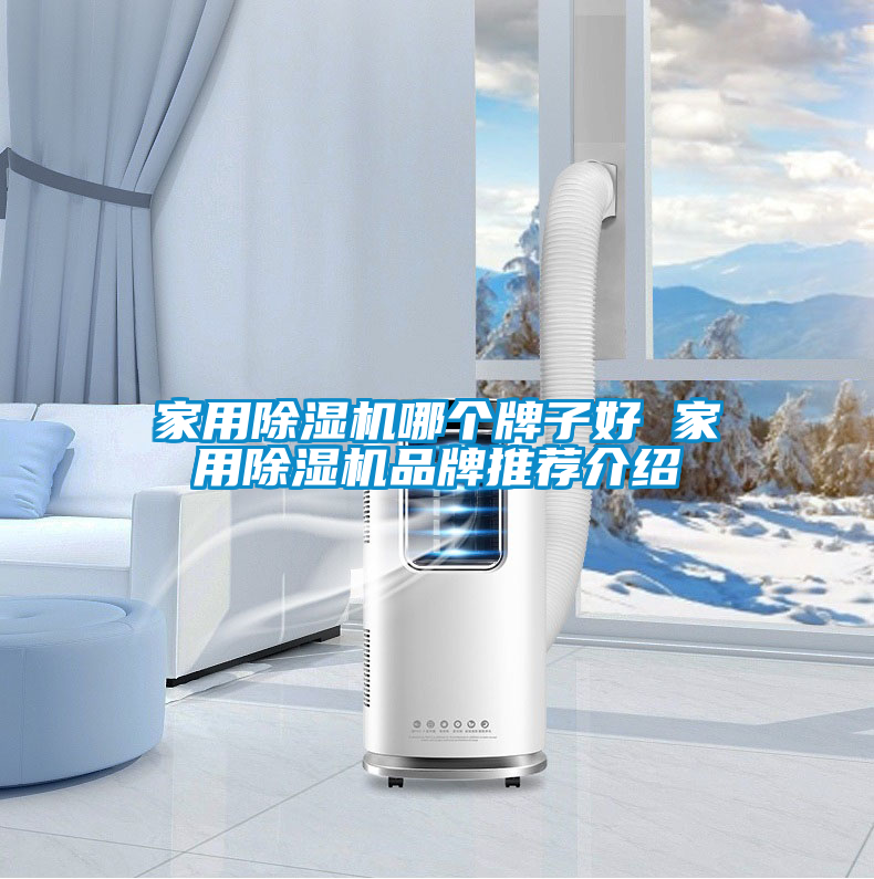 家用除湿机哪个牌子好 家用除湿机品牌推荐介绍