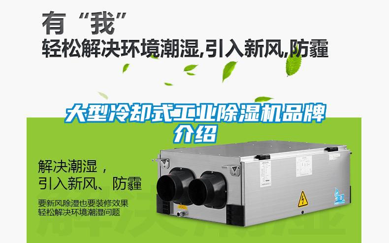 大型冷却式工业除湿机品牌介绍