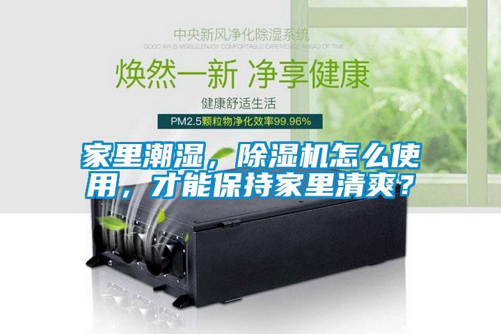 家里潮湿，除湿机怎么使用，才能保持家里清爽？