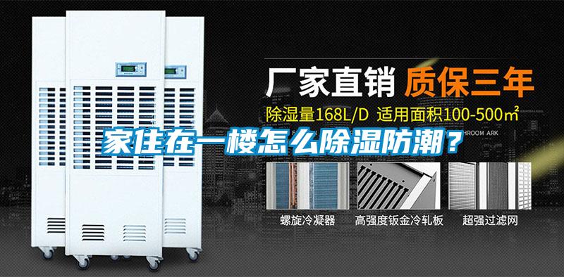家住在一楼怎么除湿防潮？