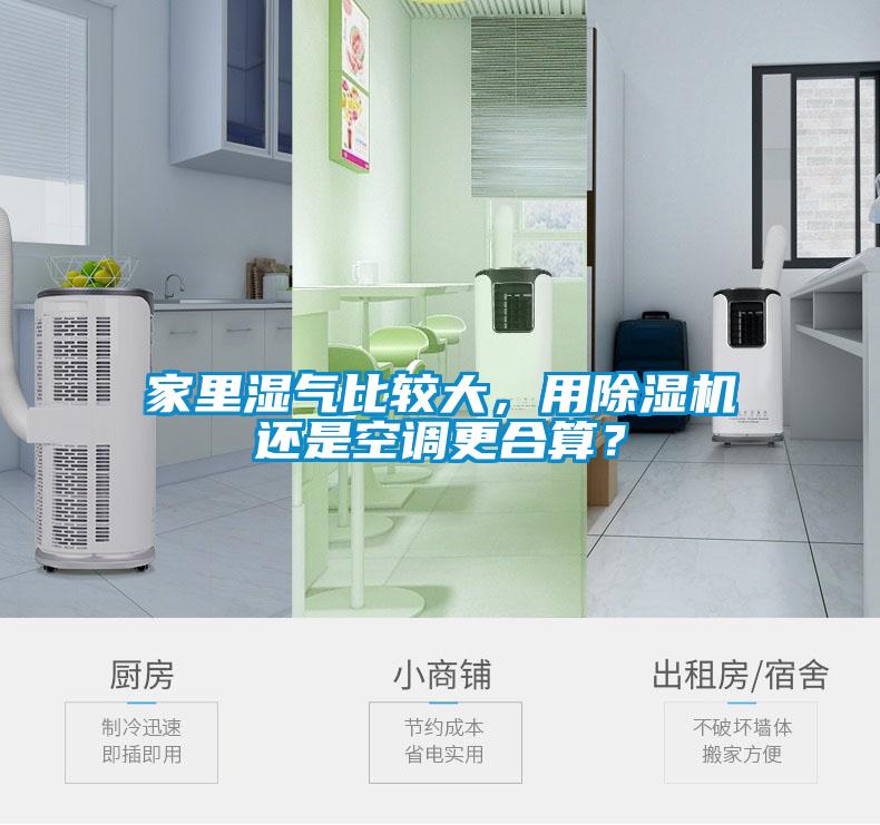 家里湿气比较大，用除湿机还是空调更合算？