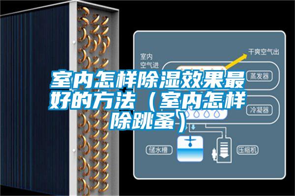 室内怎样除湿效果最好的方法（室内怎样除跳蚤）