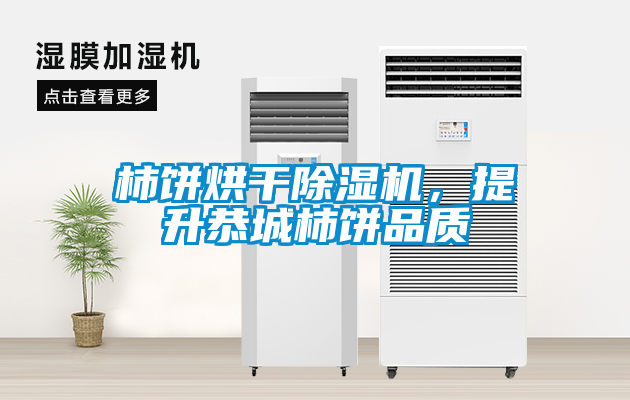 柿饼烘干除湿机，提升恭城柿饼品质
