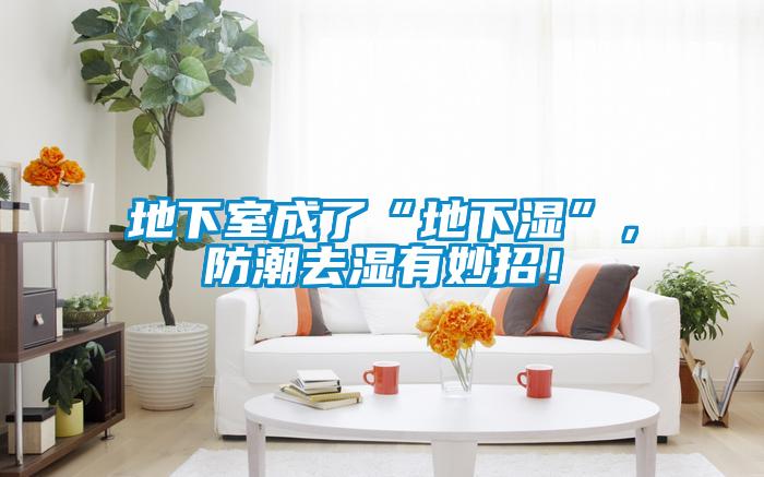 地下室成了“地下湿”，防潮去湿有妙招！