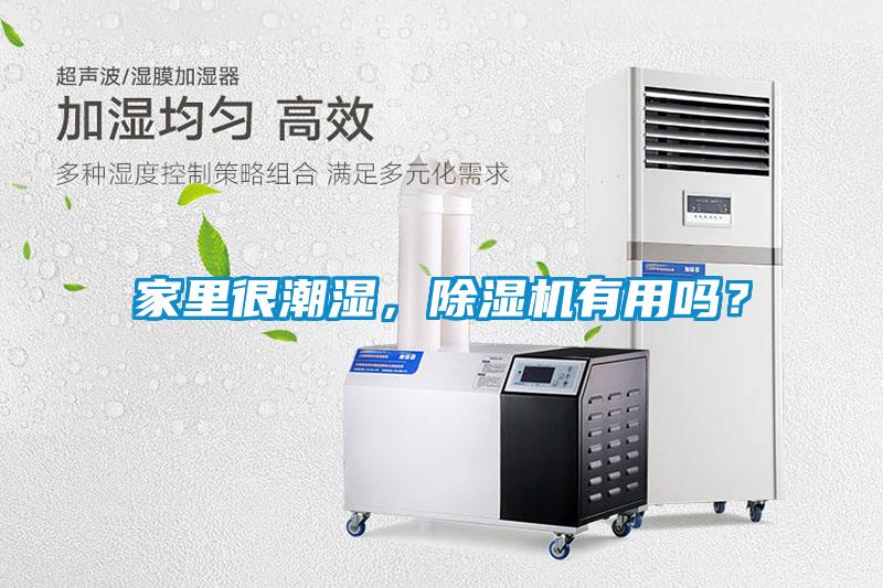 家里很潮湿，除湿机有用吗？