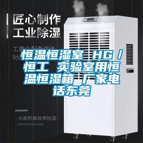 恒温恒湿室 HG／恒工 实验室用恒温恒湿箱 厂家电话东莞