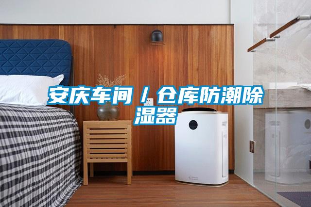 安庆车间／仓库防潮除湿器