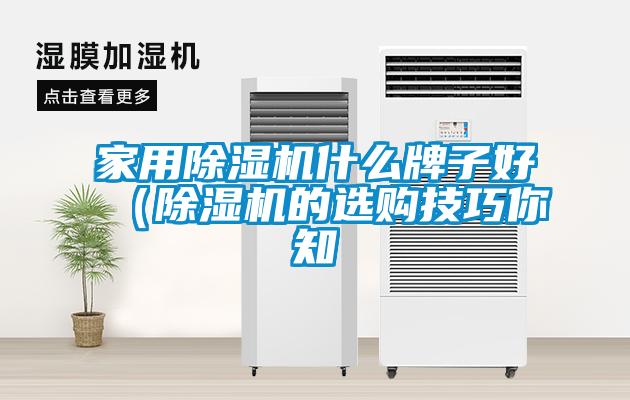 家用除湿机什么牌子好（除湿机的选购技巧你知
