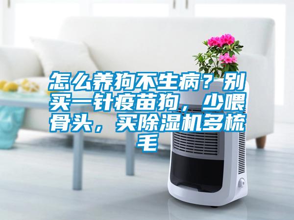 怎么养狗不生病？别买一针疫苗狗，少喂骨头，买除湿机多梳毛