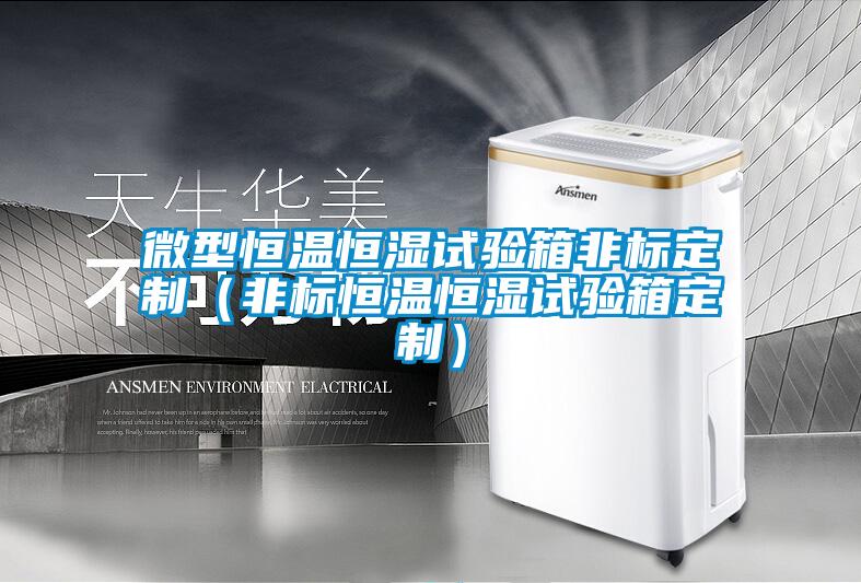 微型恒温恒湿试验箱非标定制（非标恒温恒湿试验箱定制）