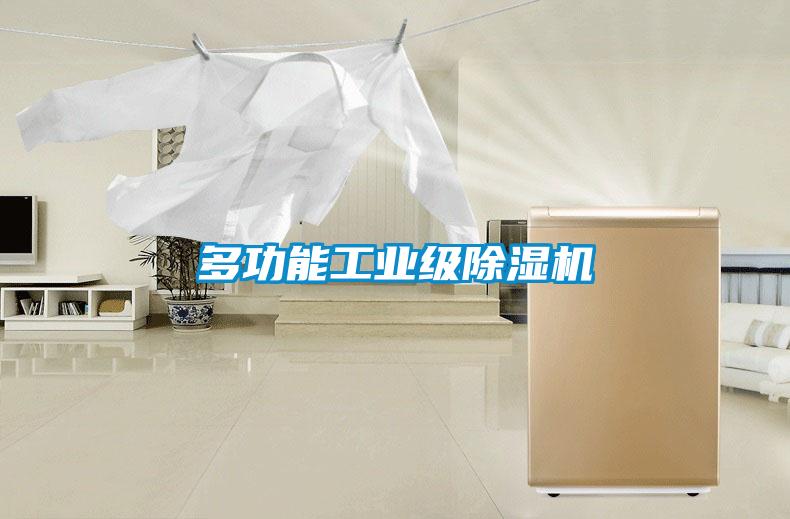 多功能工业级除湿机