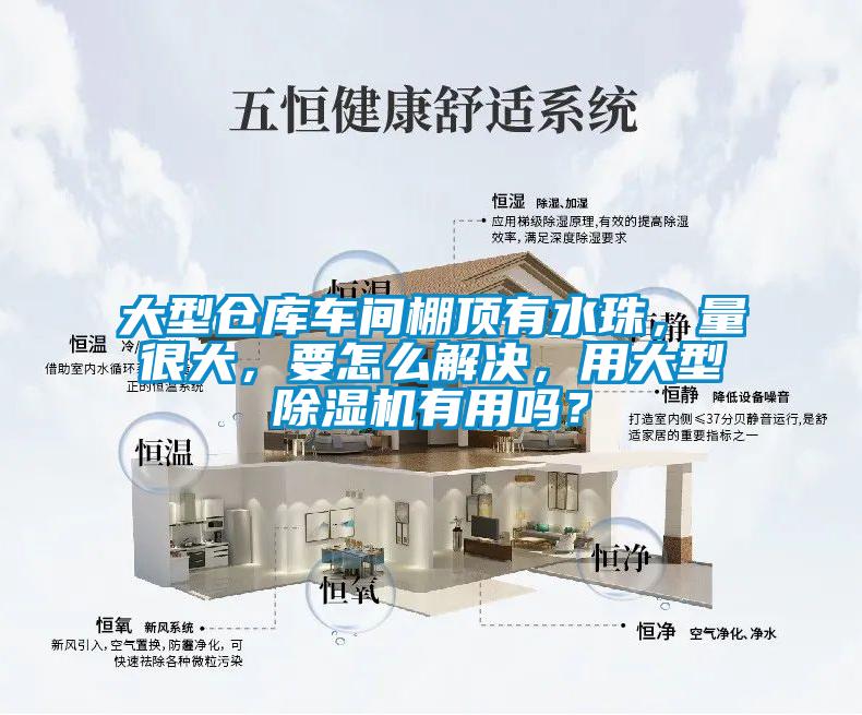 大型仓库车间棚顶有水珠，量很大，要怎么解决，用大型除湿机有用吗？
