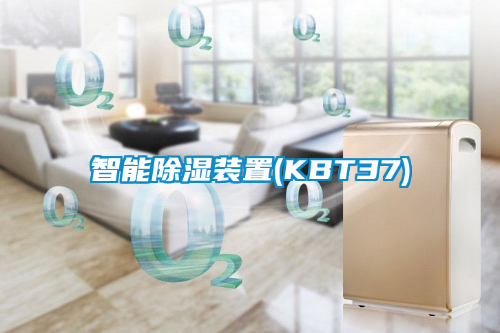 智能除湿装置(KBT37)