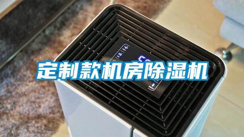 定制款机房除湿机