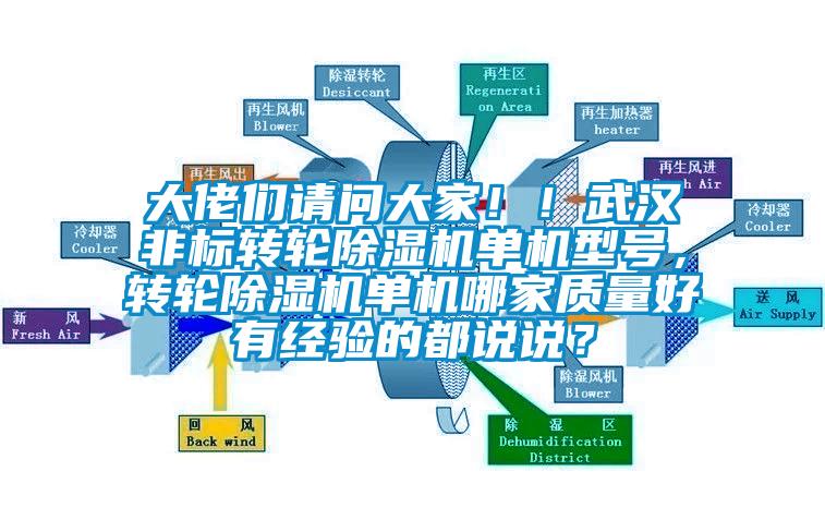 大佬们请问大家！！武汉非标转轮除湿机单机型号，转轮除湿机单机哪家质量好有经验的都说说？